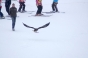 , Womens slalom world cup 2012 - Courchevel Enquirer